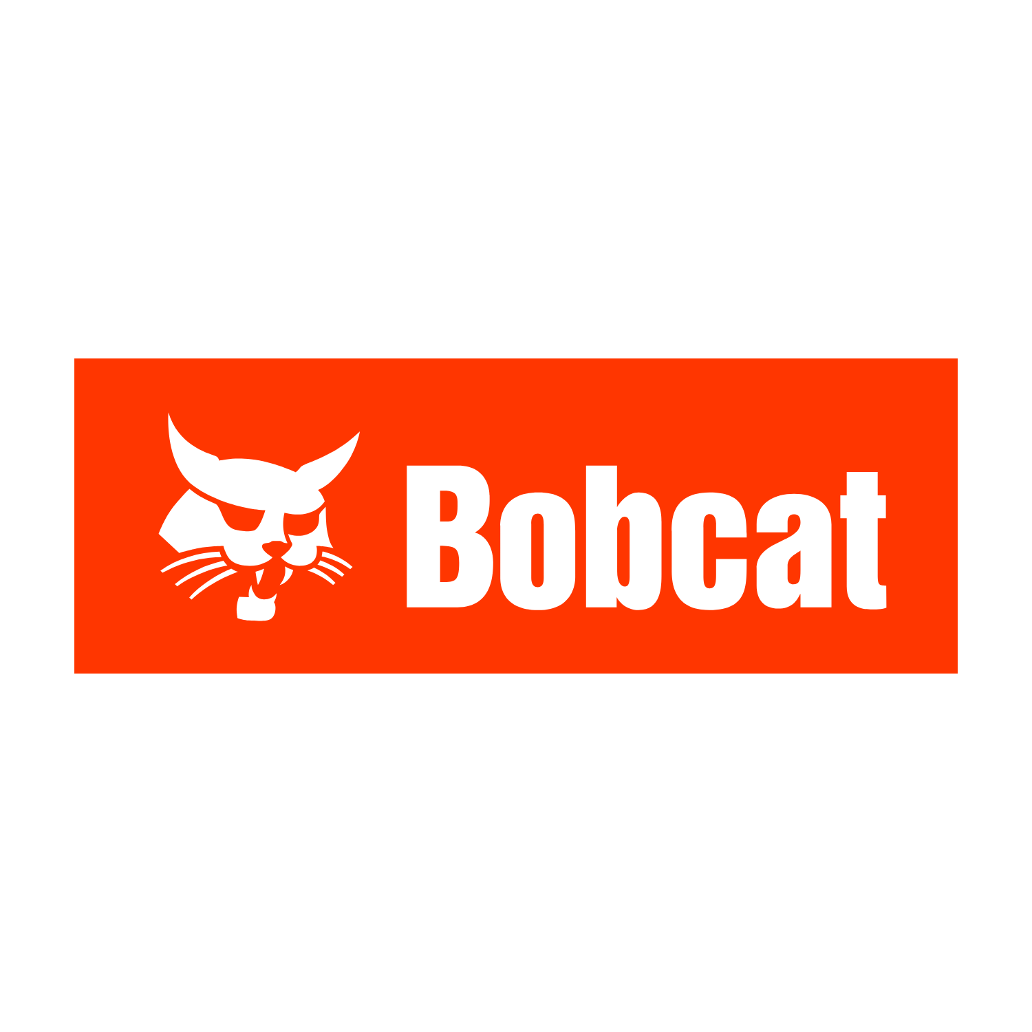 Bobcat